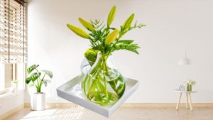 Best Indoor Plants for Clean Air