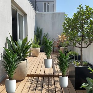 DIY Planters for Small Spaces