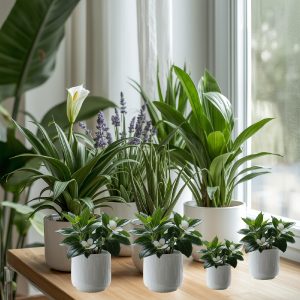 Plants That Reduce Stress