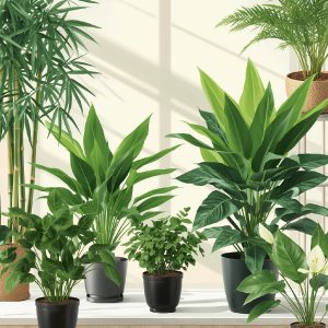 Best Plants That Attract Luck